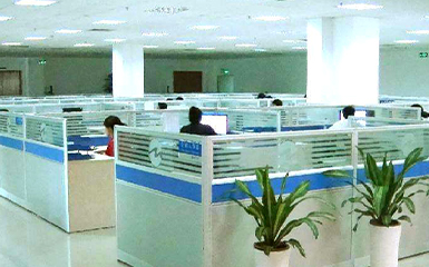 河南雙誠技術部增添綠植,提升辦公環(huán)境